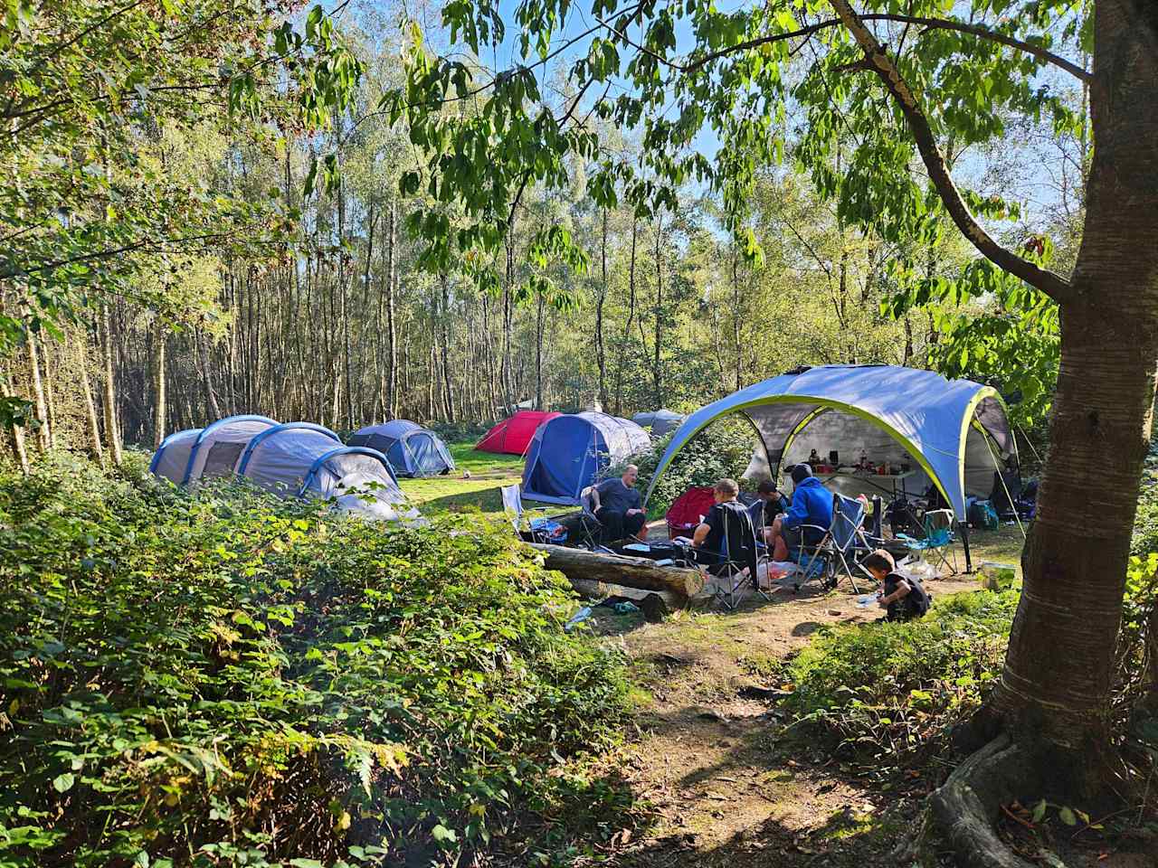 Beech Estate Campsite