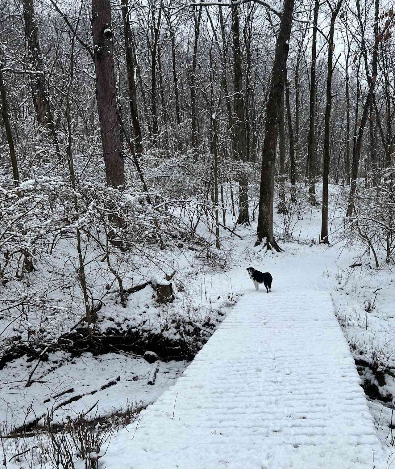 acres and acres of trails