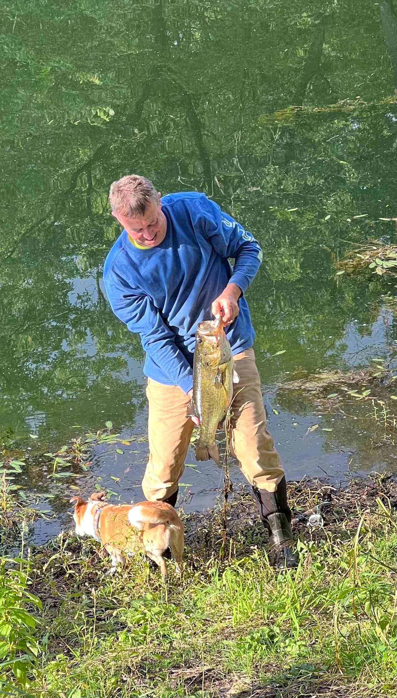 Bass and Bluegill in the pond