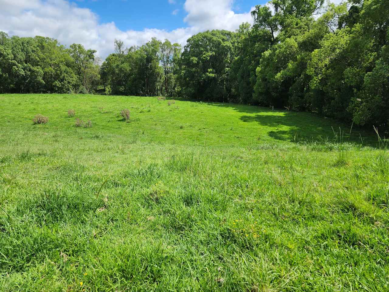 A nice breeze along the creekbank could be your chosen rest spot.