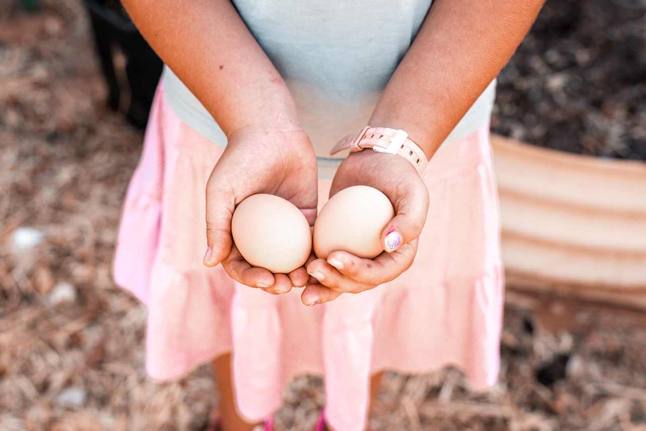 Finding some fresh eggs onsite to cook up a feast!