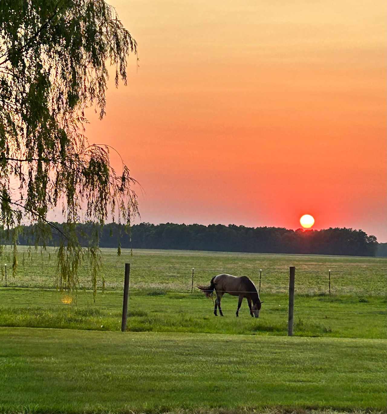 Whispering Pines Farm