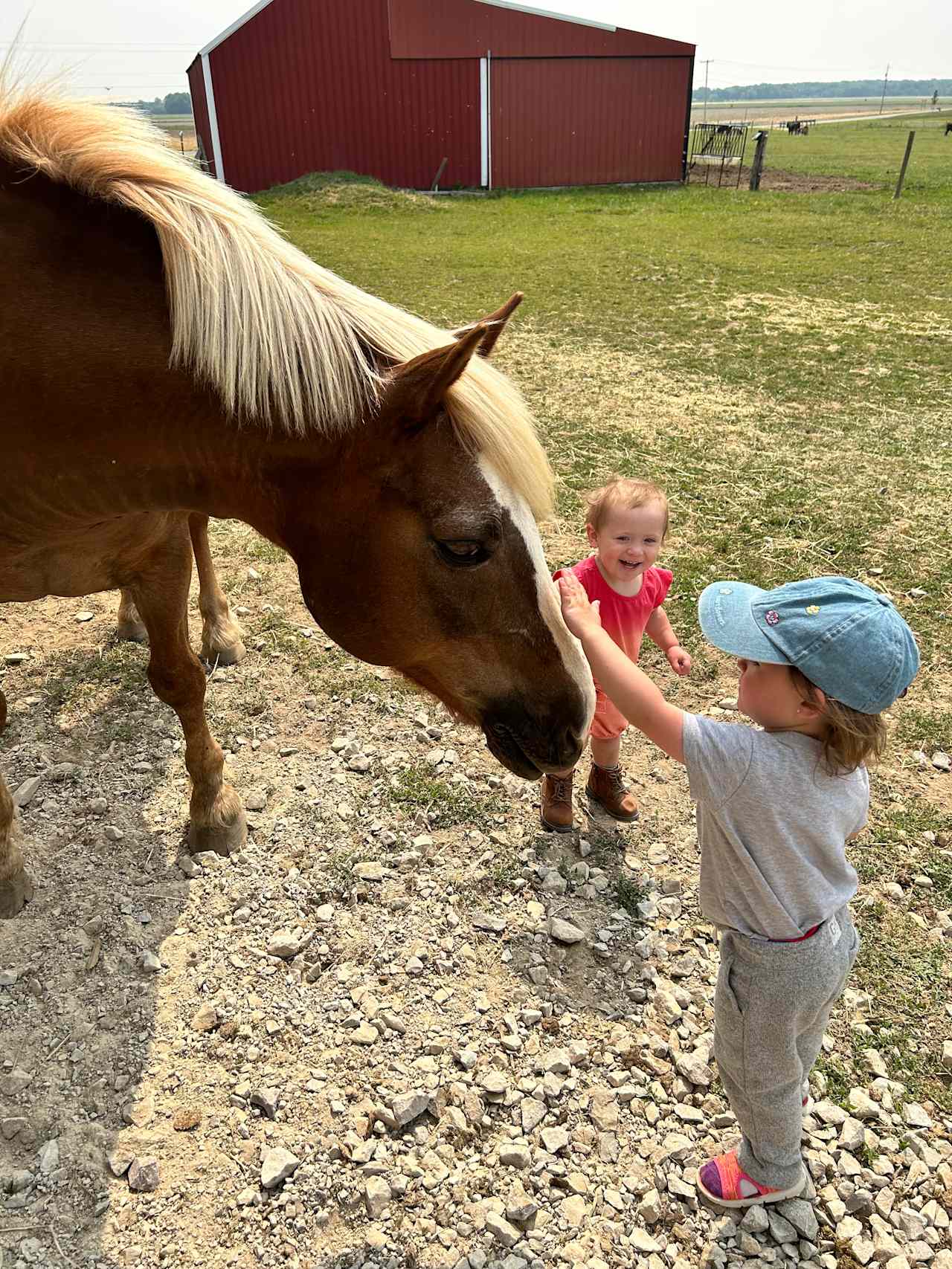 Whispering Pines Farm