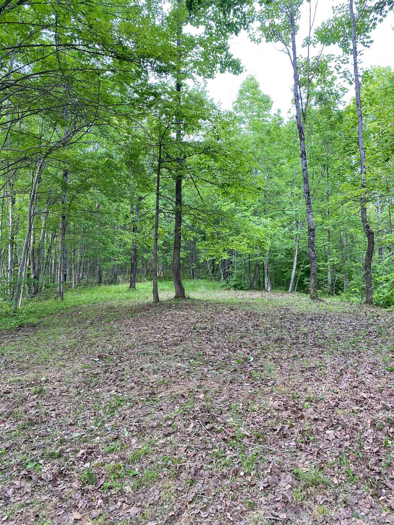 My Happy place. 5 miles in any direction to the nearest residence. 200 acres adjacent to 25,000 acres of uninhabited Federal Government owned WV DNR managed wildlife management area.  