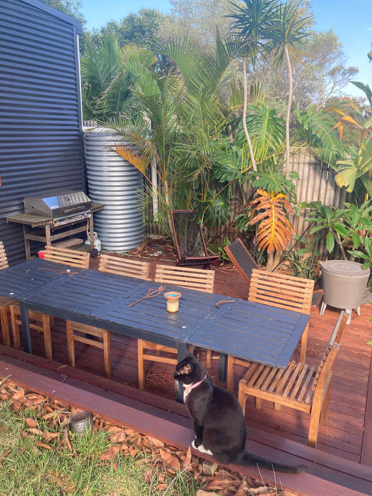 Tropical bbq deck area