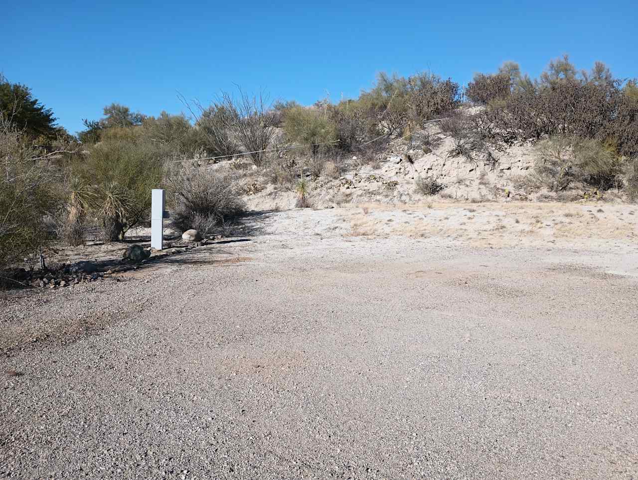 Site looking north