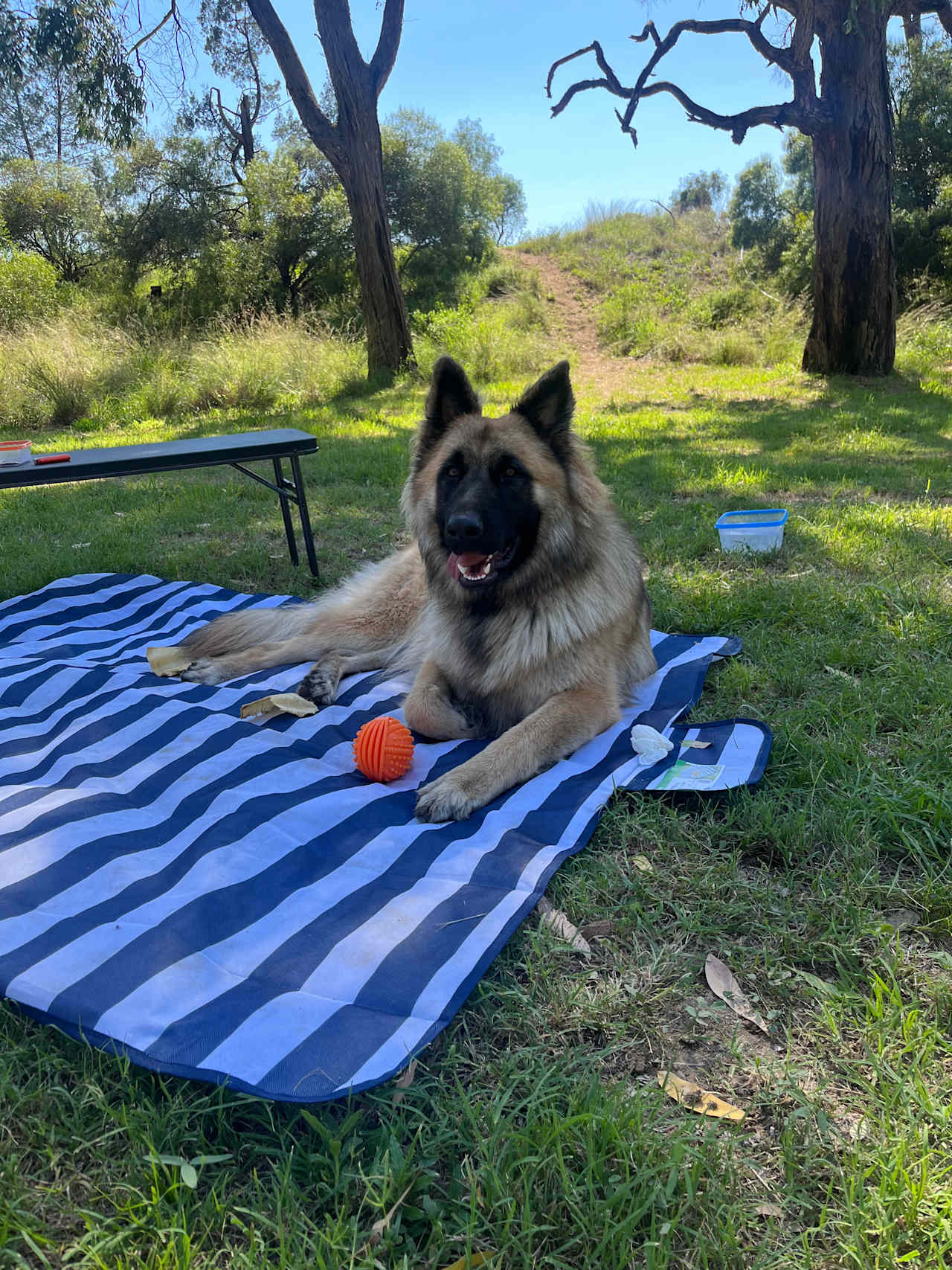 Canning Creek Camp