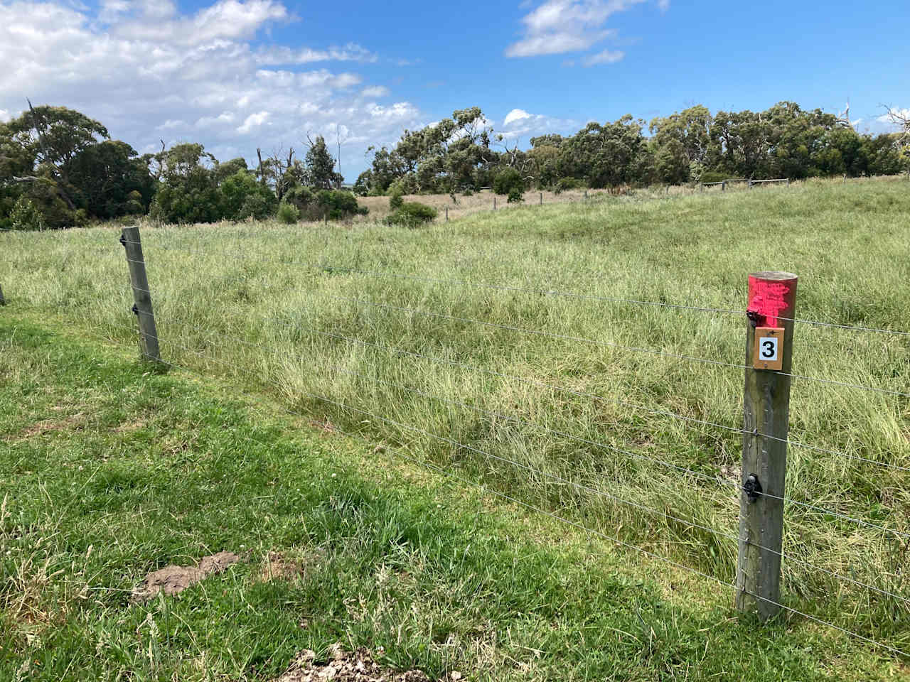 Waratah Camping