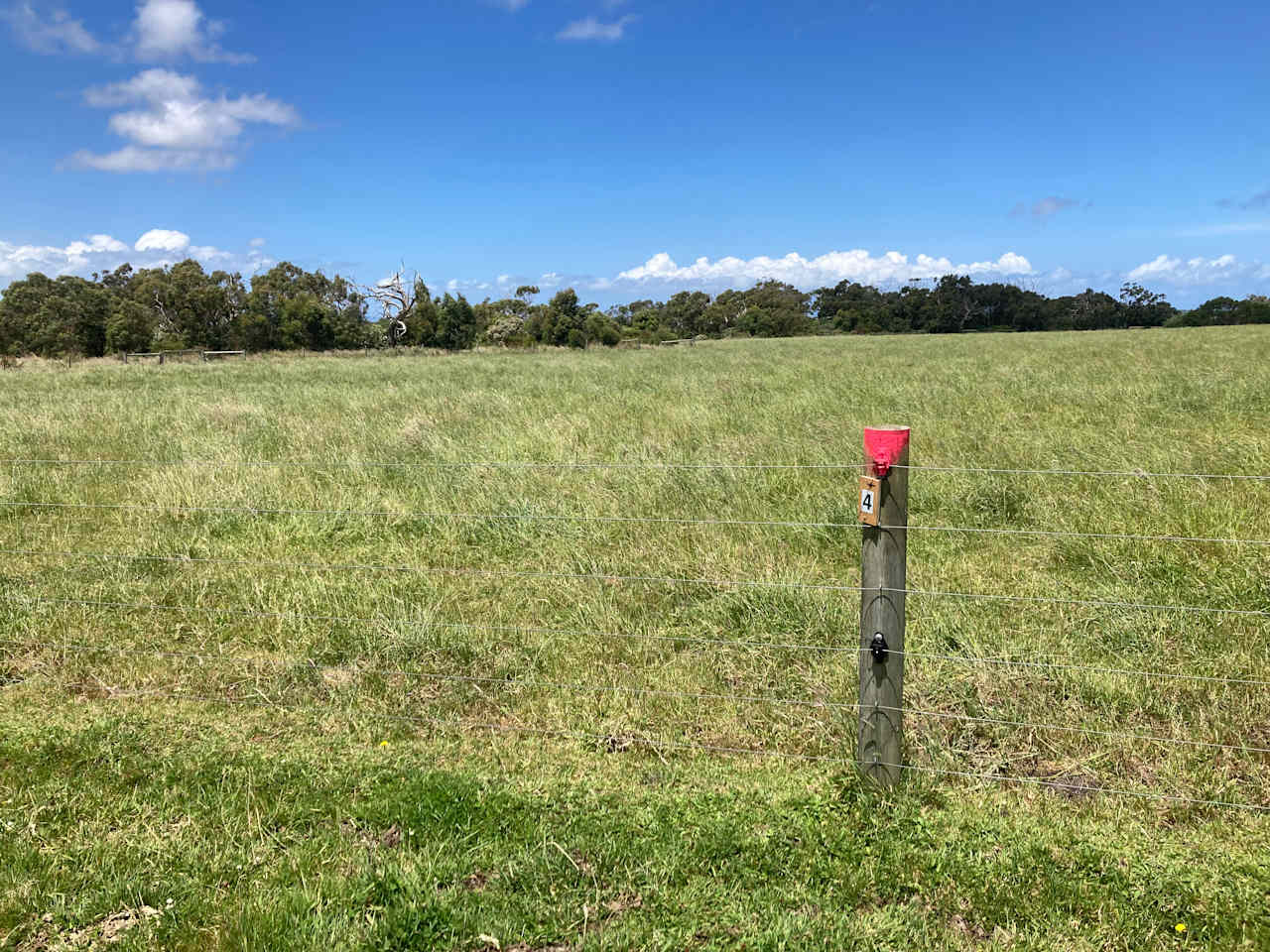 Waratah Camping