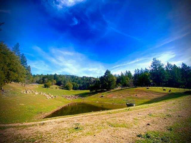 Wild Canyon Ranch CA