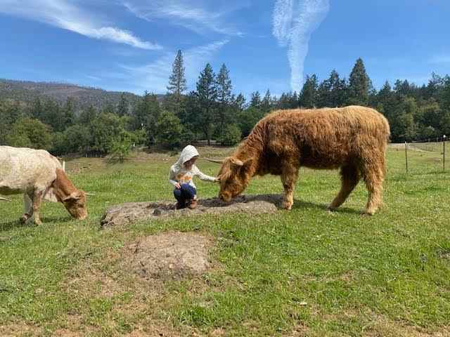 Wild Canyon Ranch CA