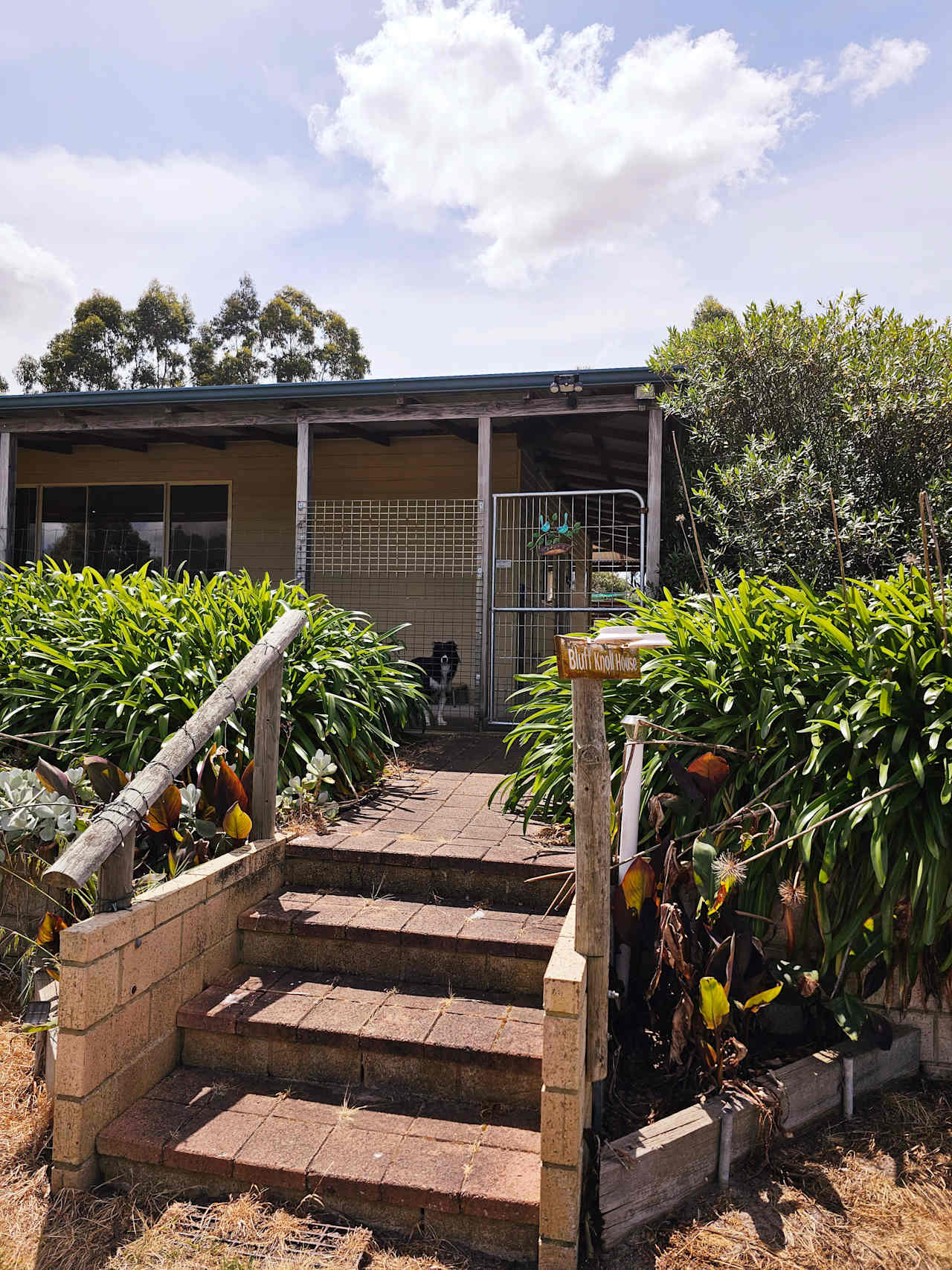 Bluff Knoll House