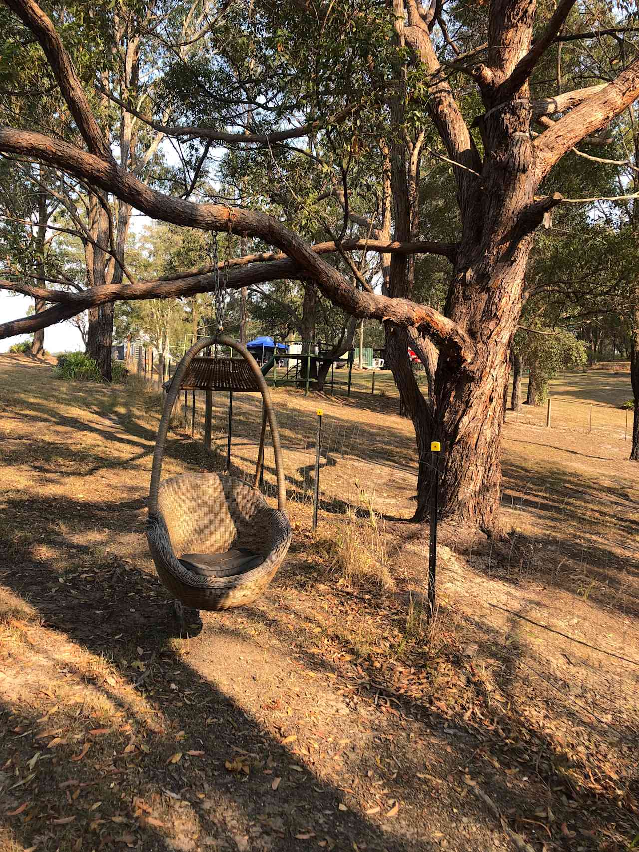 Peace & Quiet Glamping