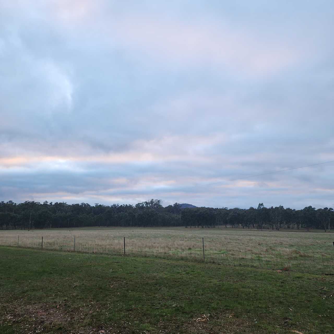 View of campsite from up the driveway.