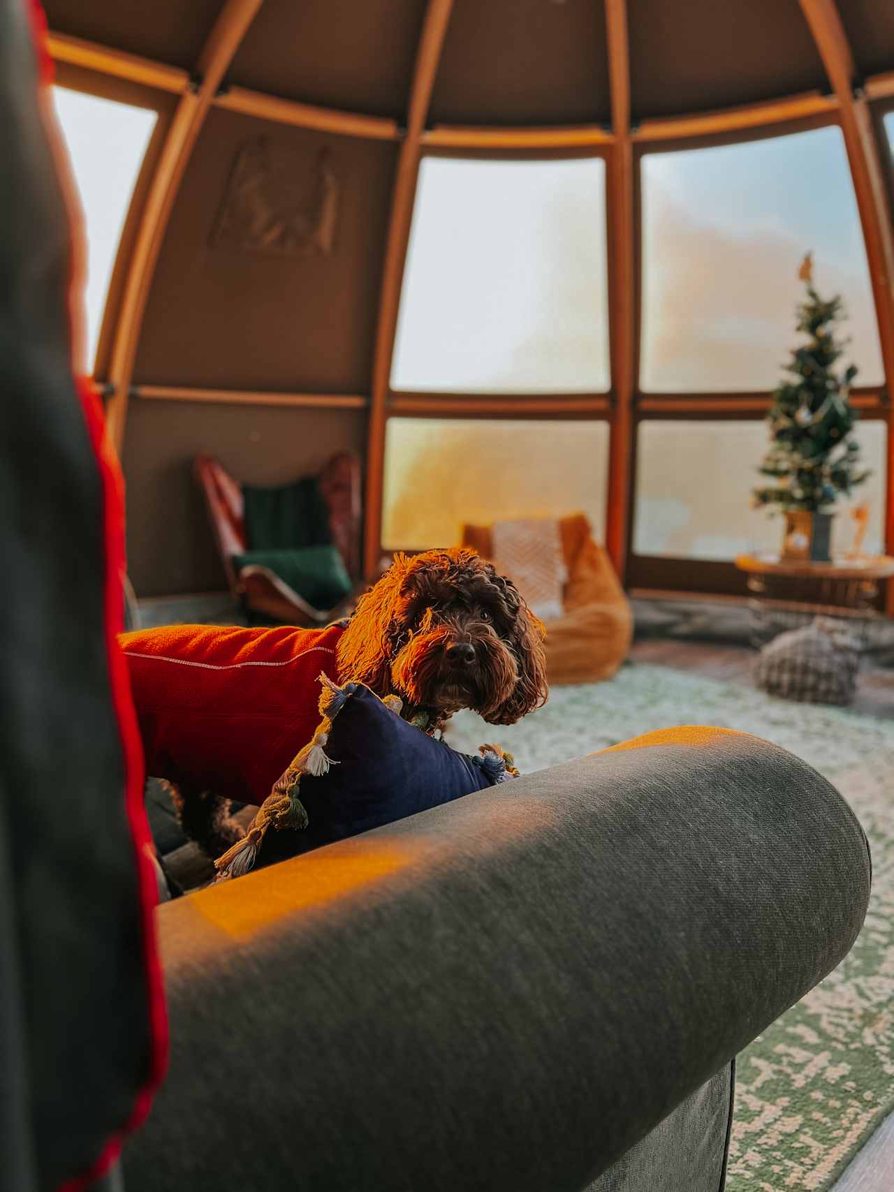 Woody's Glamping