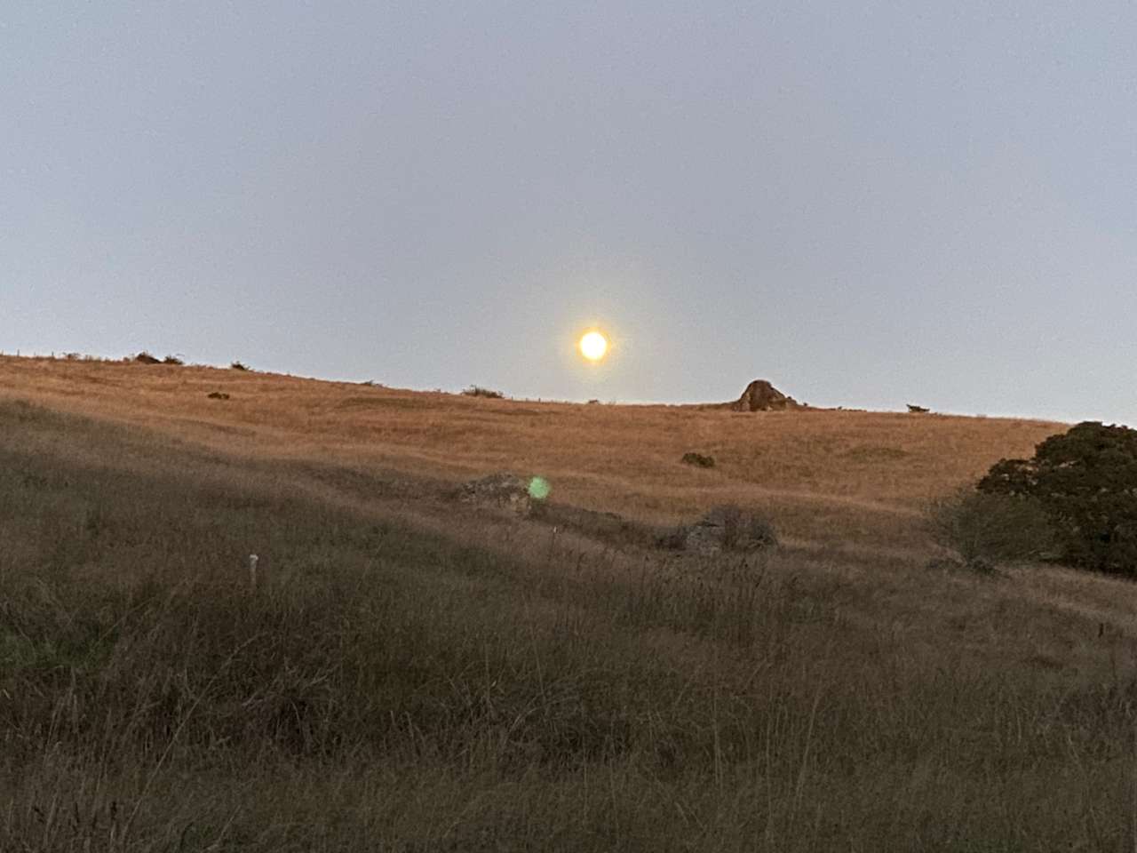 Angel Ranch