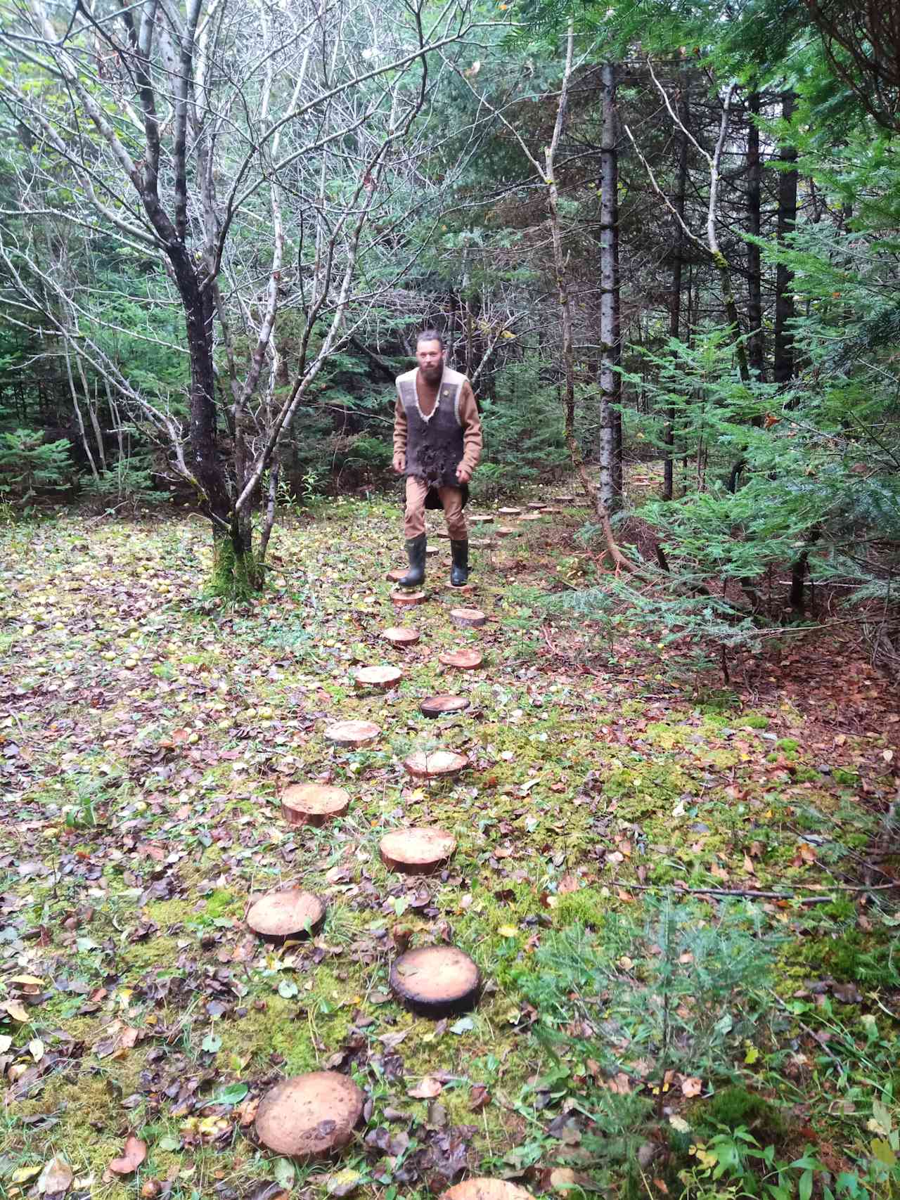 Wood cookie pathway through conifer woodland. 