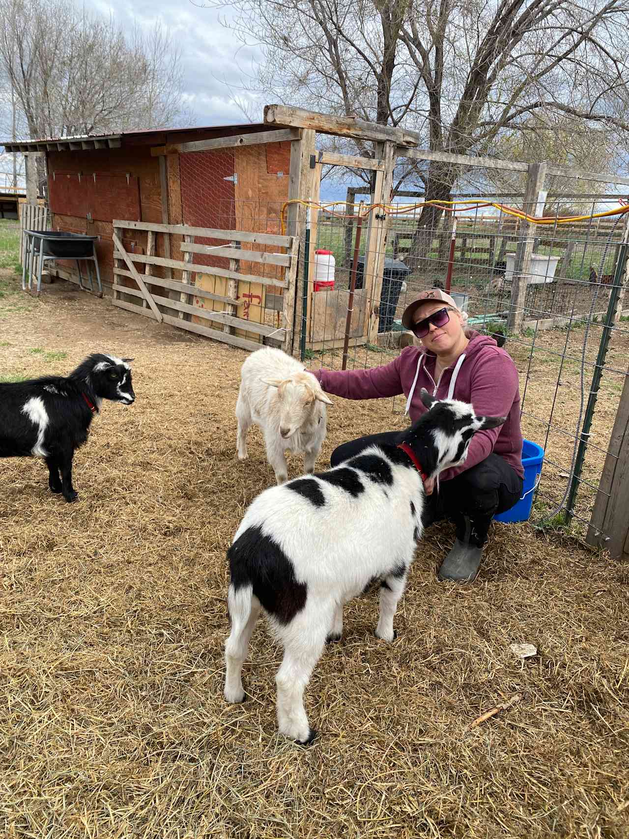 Cloudview Farm