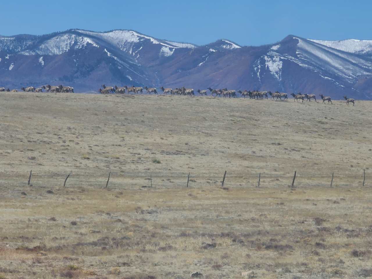 Turkey Creek Ranch