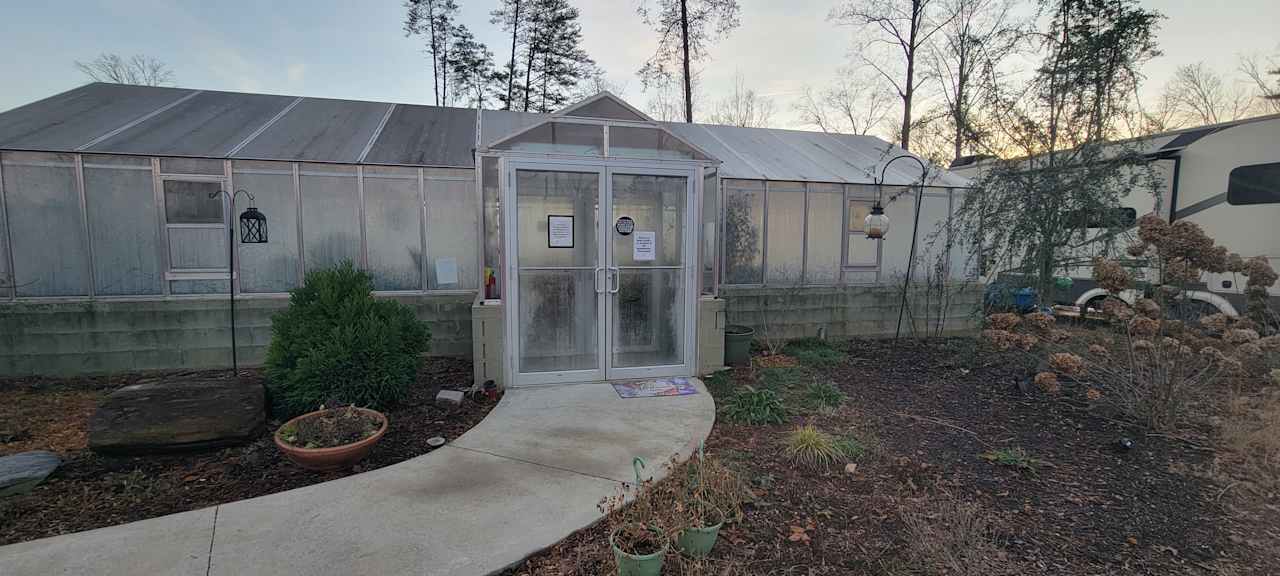 Butterfly Farm