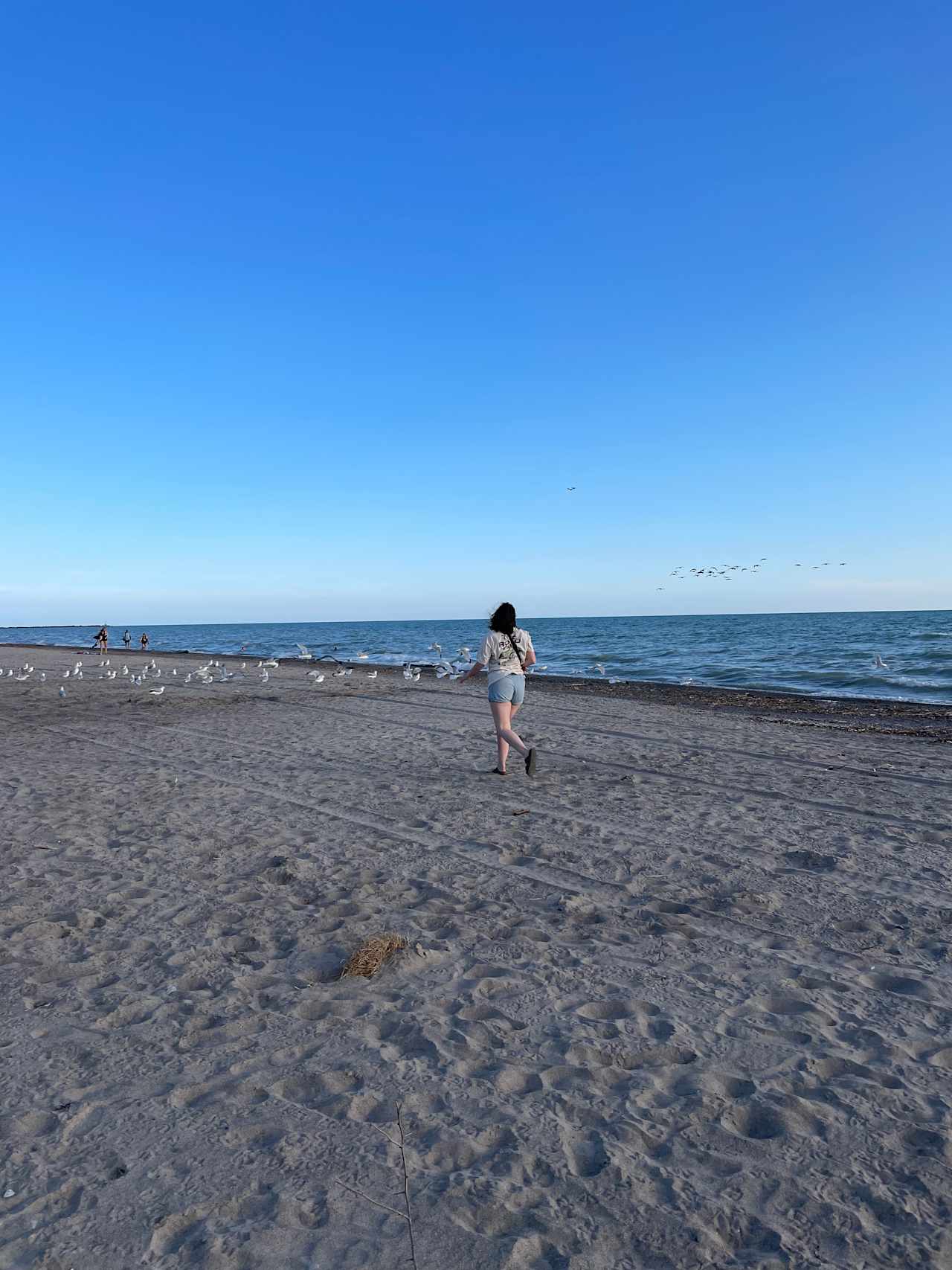 Blue Flag Beach at Port Burwell.  5 minute drive from Hicks Haven 