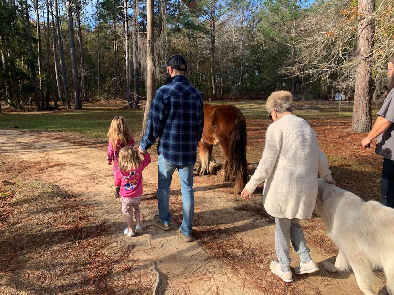 Bluewater Horse Ranch