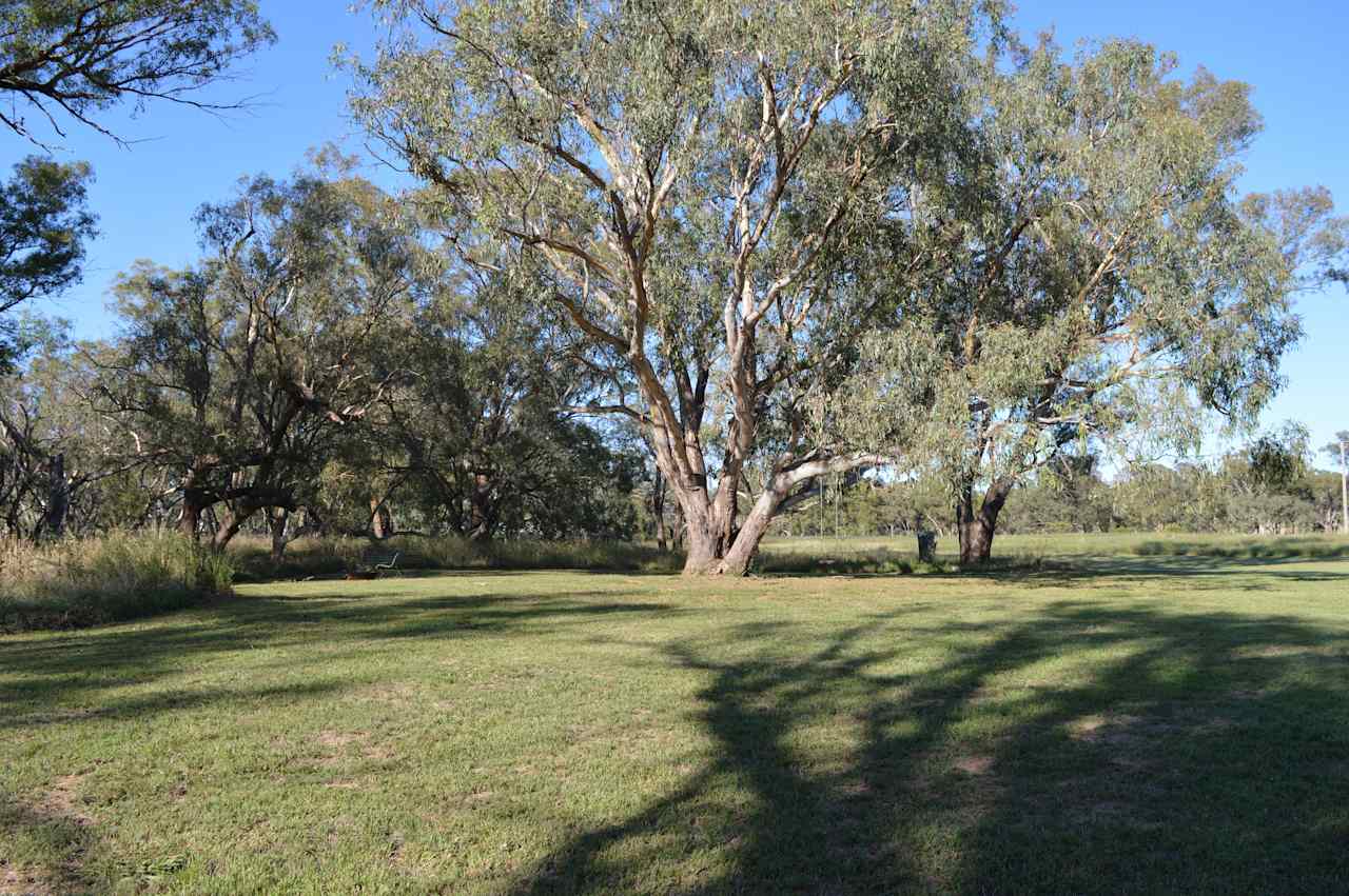 Wendouree Creek Camp