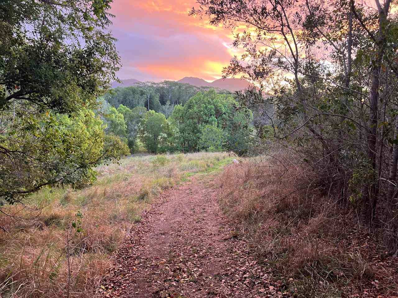 Views from HILL CAMP SITE 2 and magical sunsets during our goat walks.