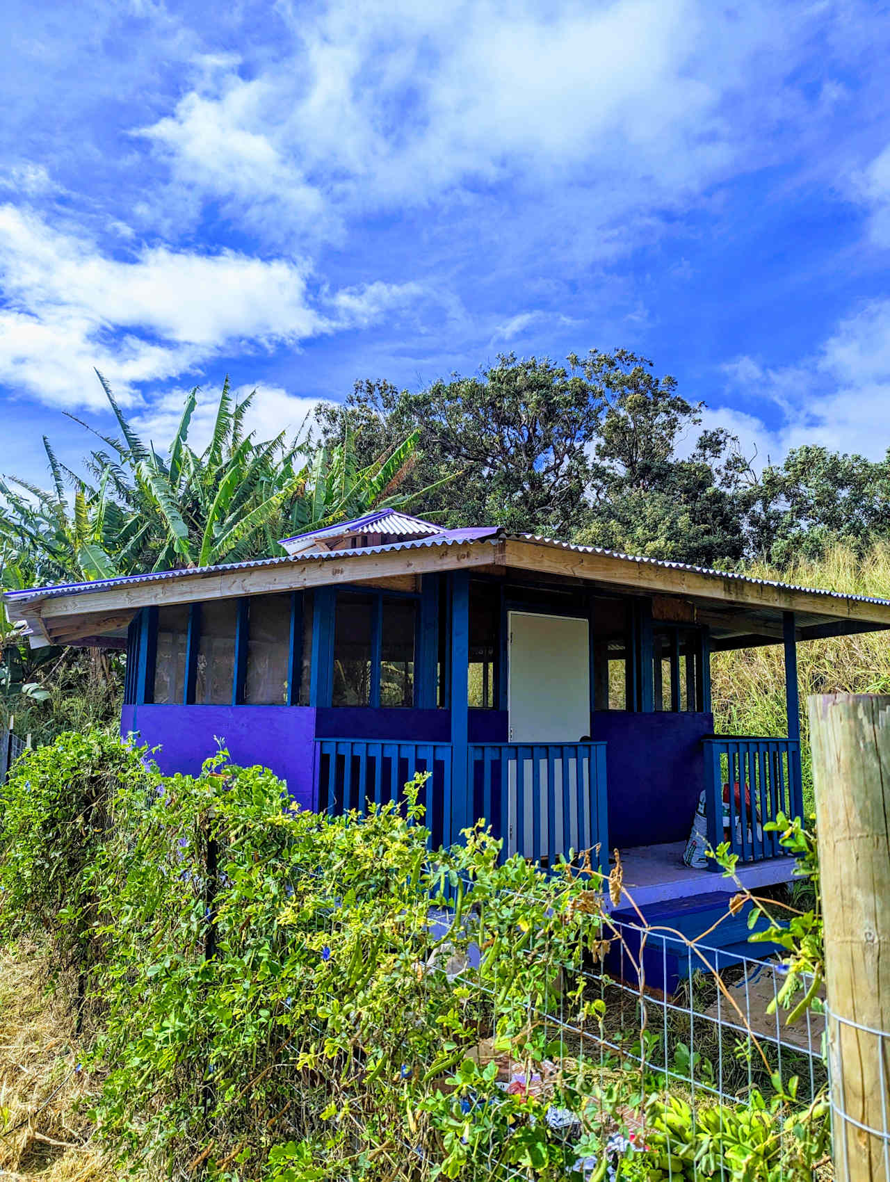 Secluded Sunrise Cabanas