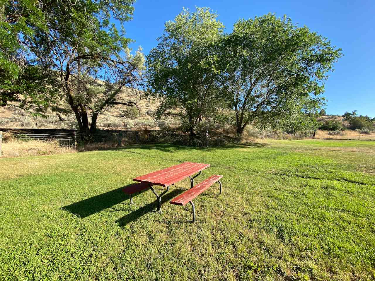 Grassy, green field overlooking the Deschutes River.