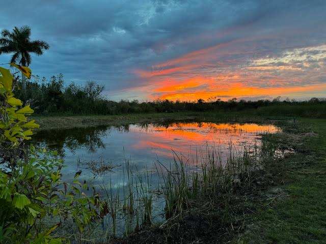 Gods Country in Miami