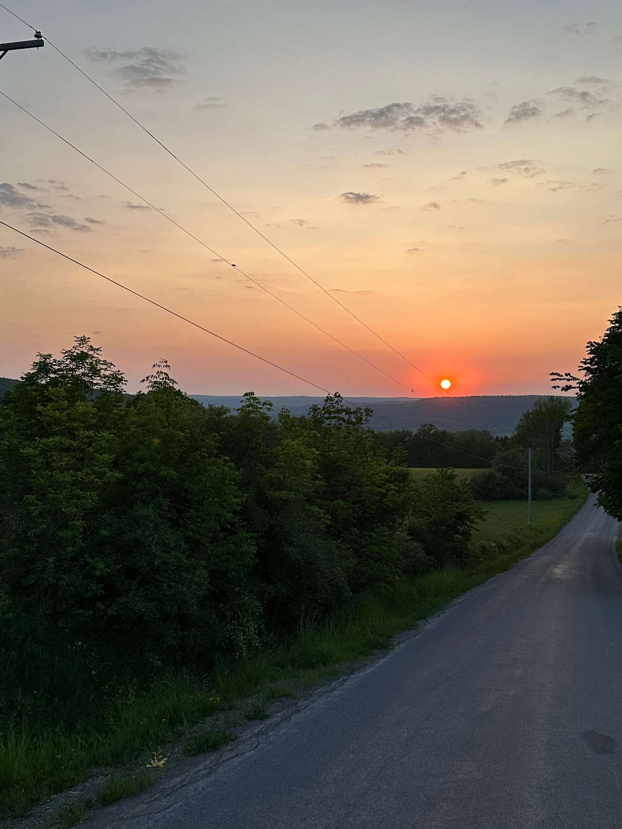 Acres by the Forest