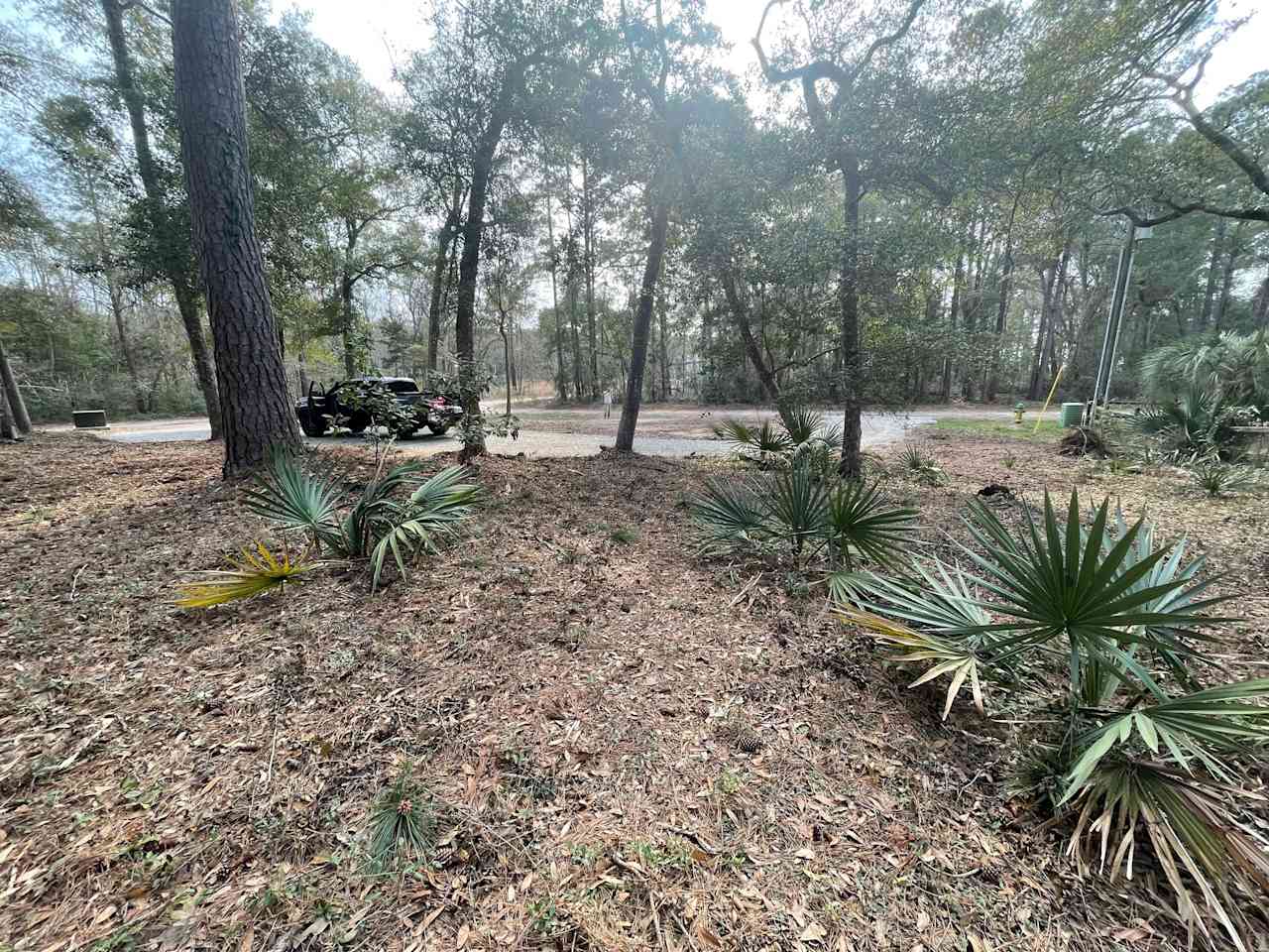 View from the rear of property looking towards the road.