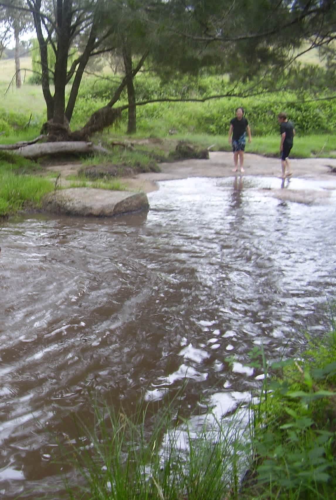 Bluff River Camping