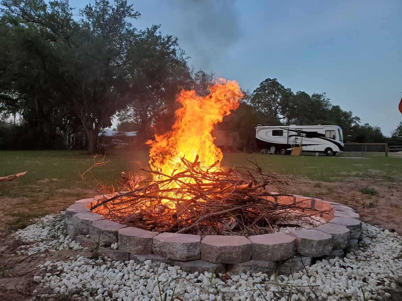 The Nature Coast Beacon