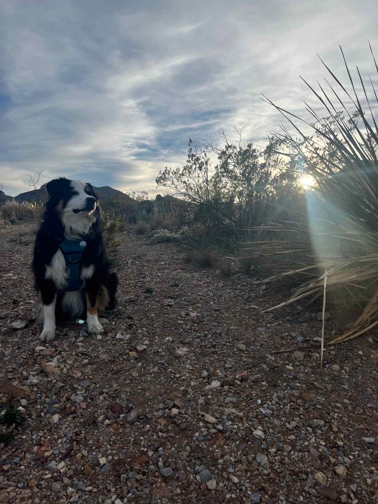 Perdido Overland Overnight Camp