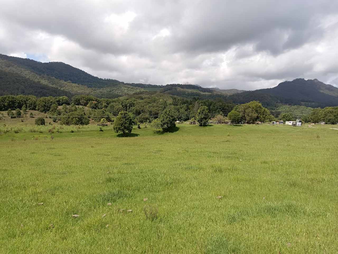 McKenzies Mountain, Wollumbin