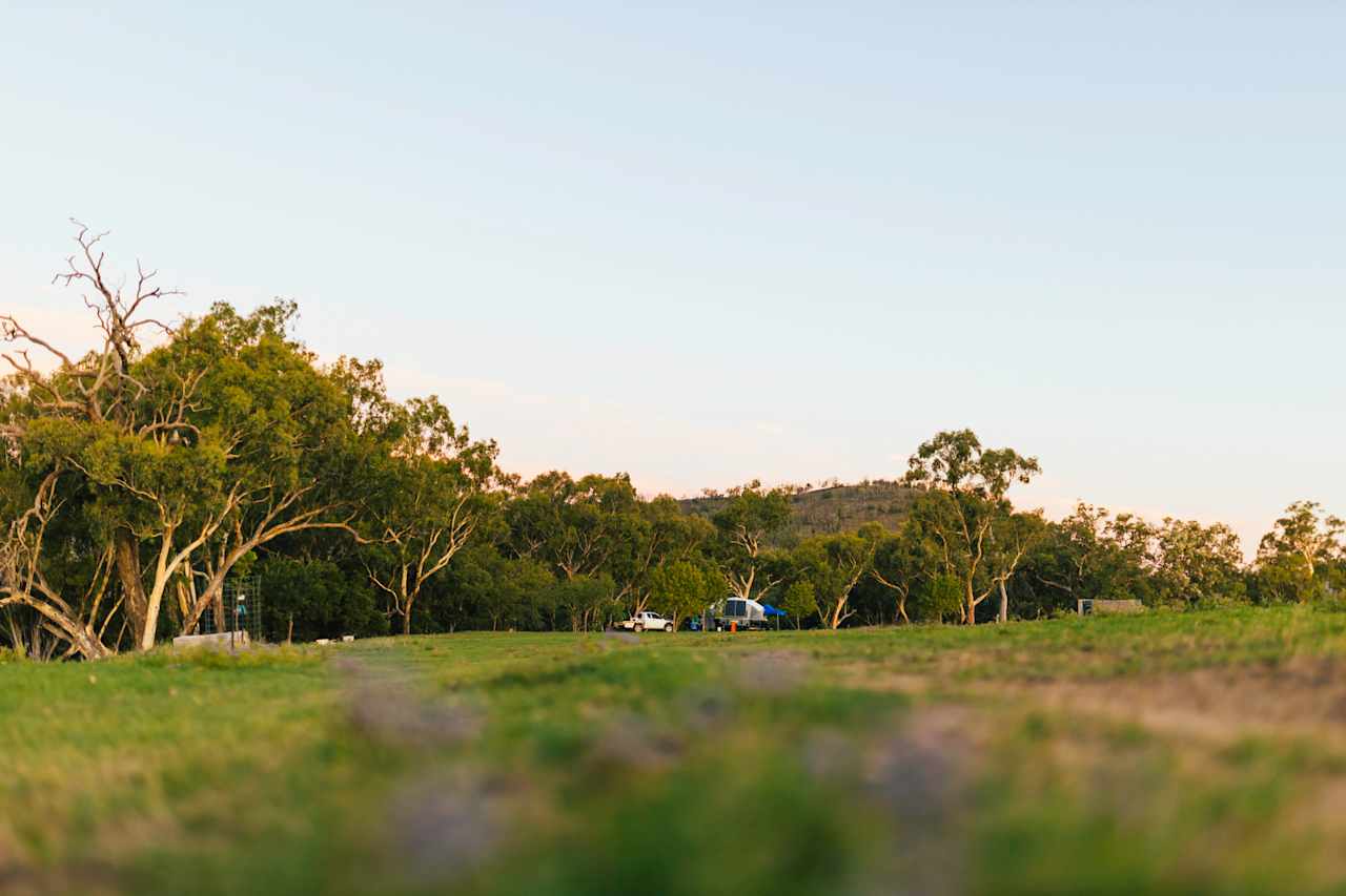 Nice flat grassy area for more campers