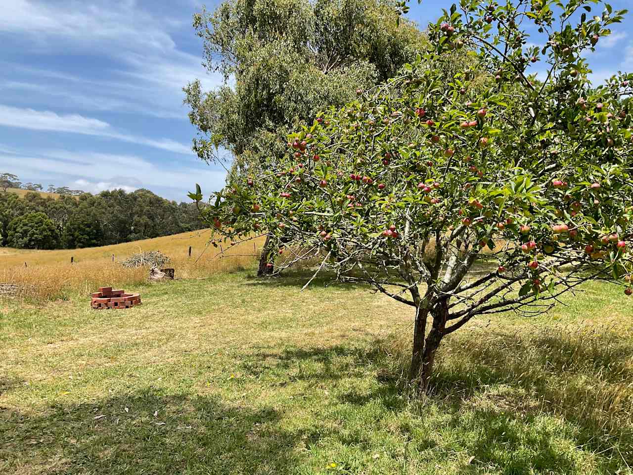 The Old Orchard site