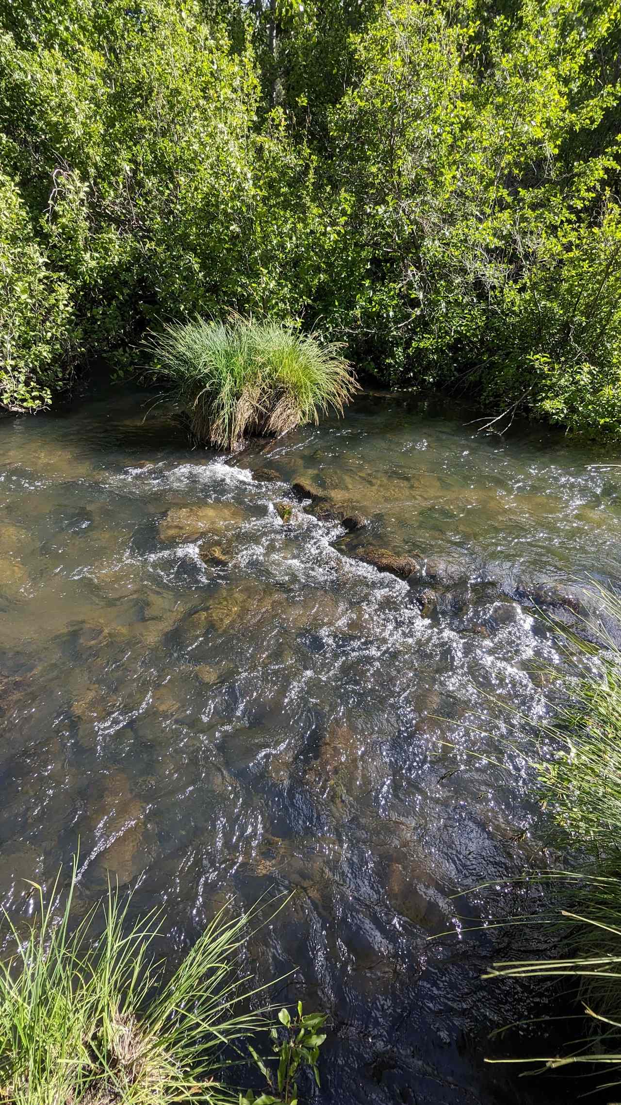 The Retreat on Big Grizzly Creek