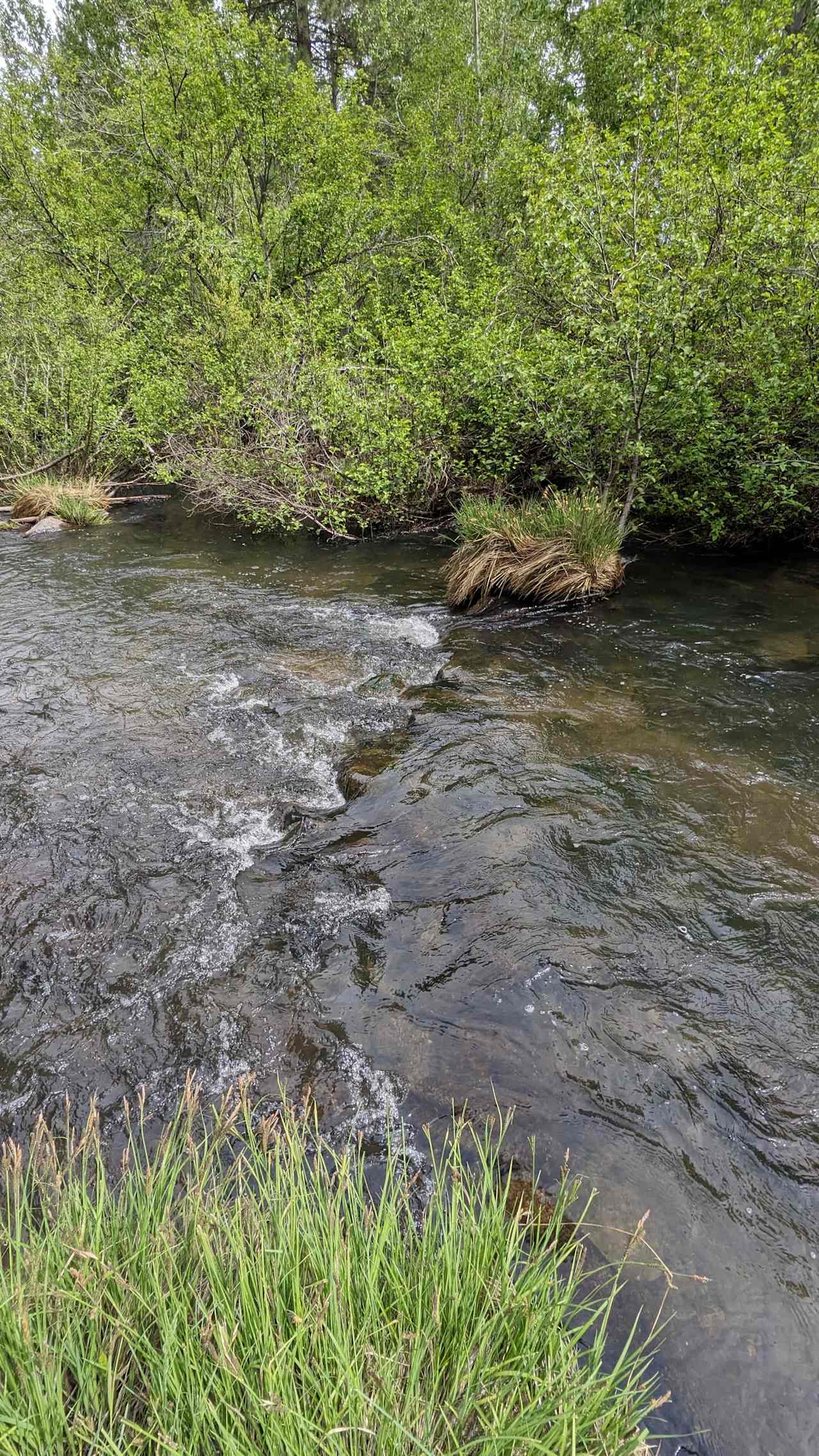 The Retreat on Big Grizzly Creek