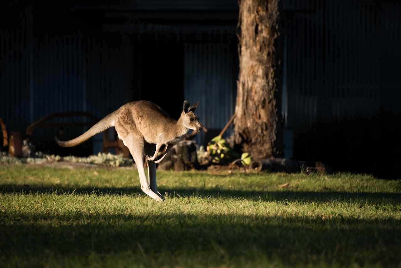 Maalaabidi Naturist Farm Stay