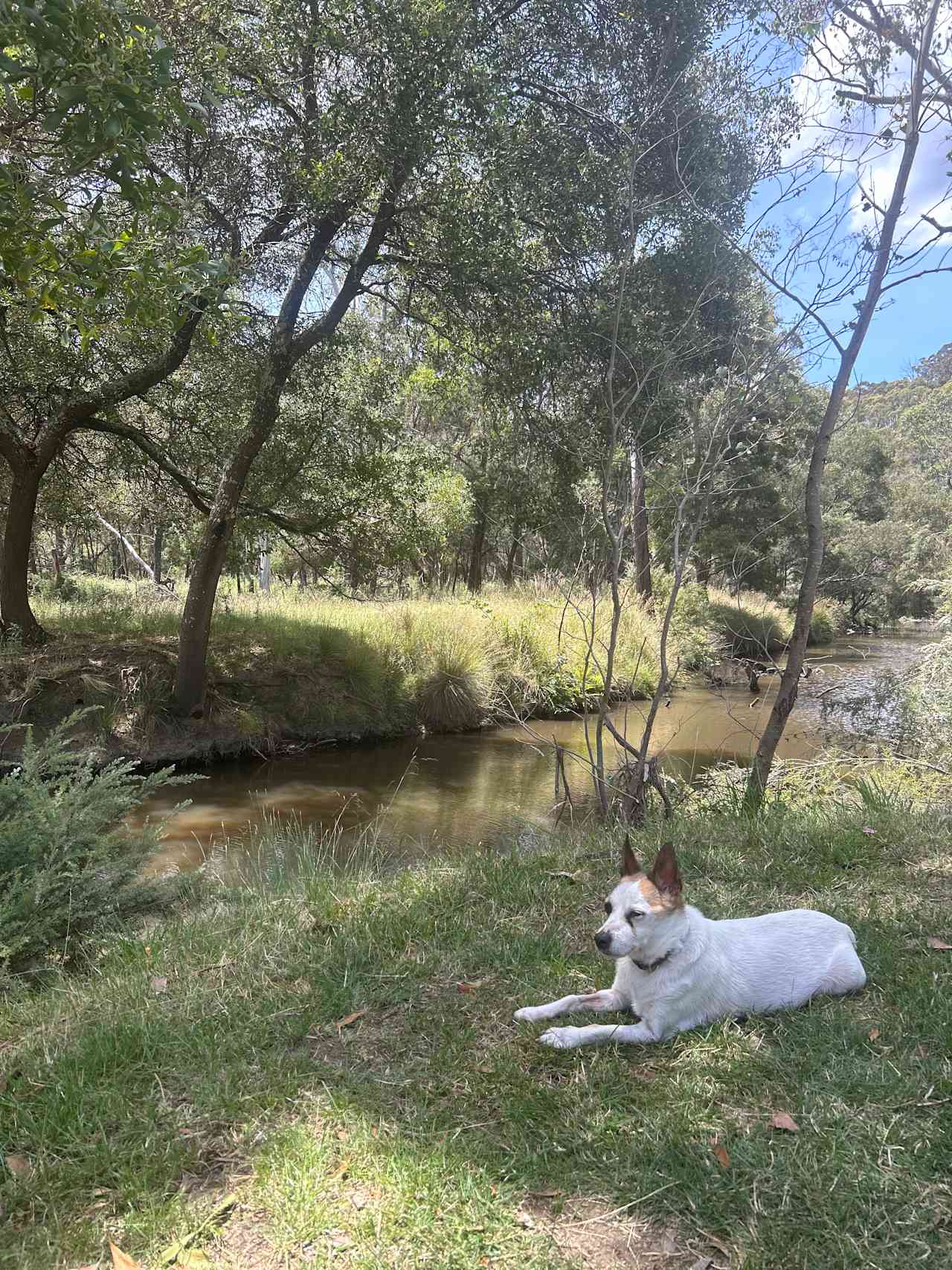 Aroona Park