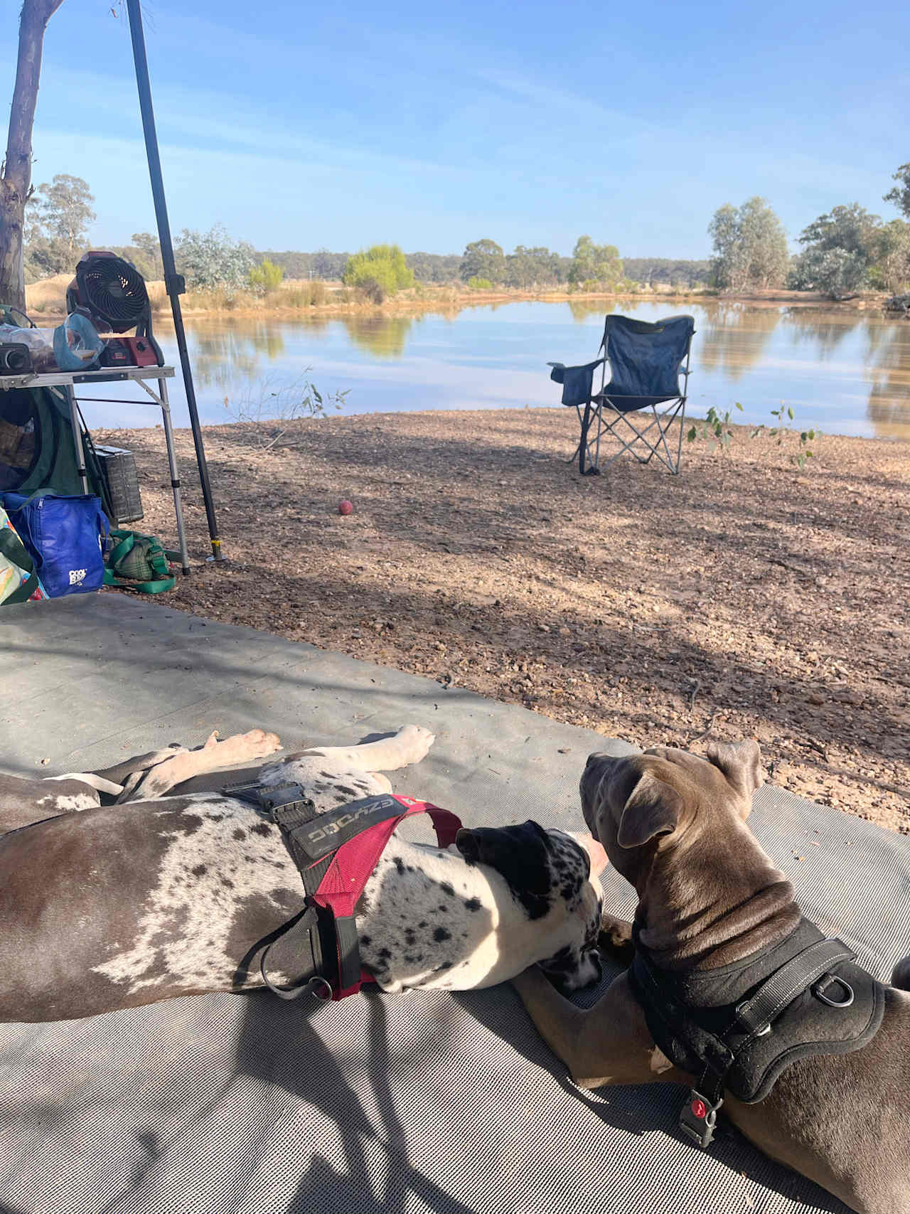 Somerville Park   (Bendigo)