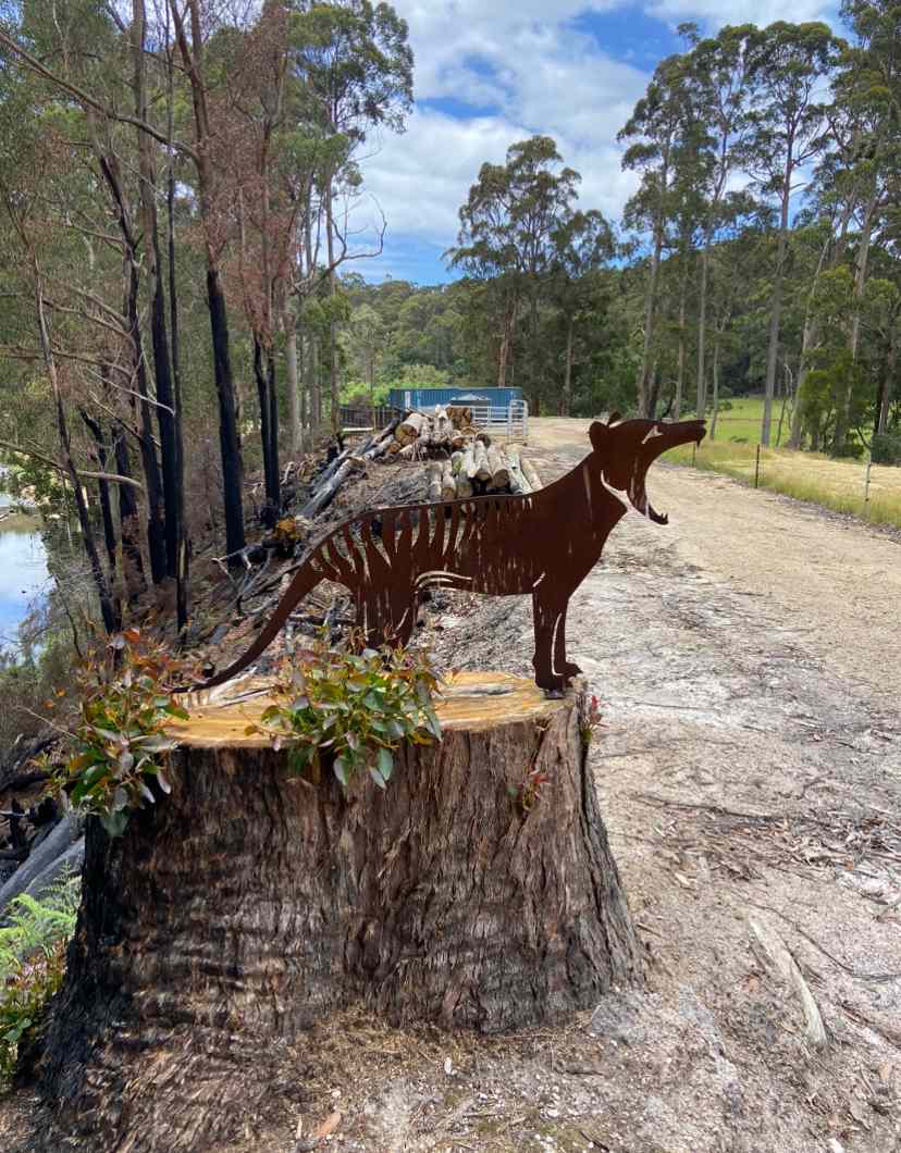 Inglis River Caravan and Camping