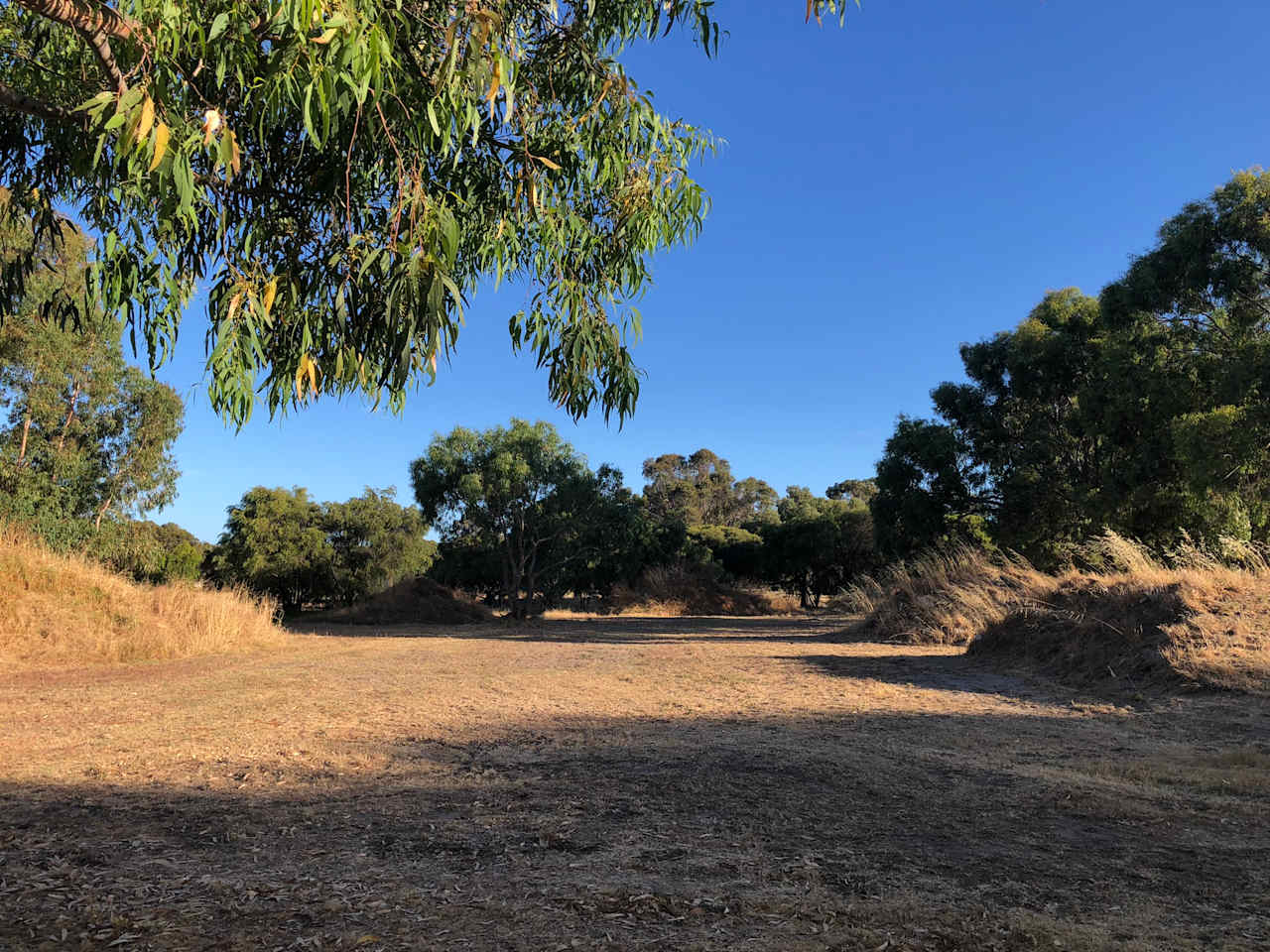 Paperbark Way