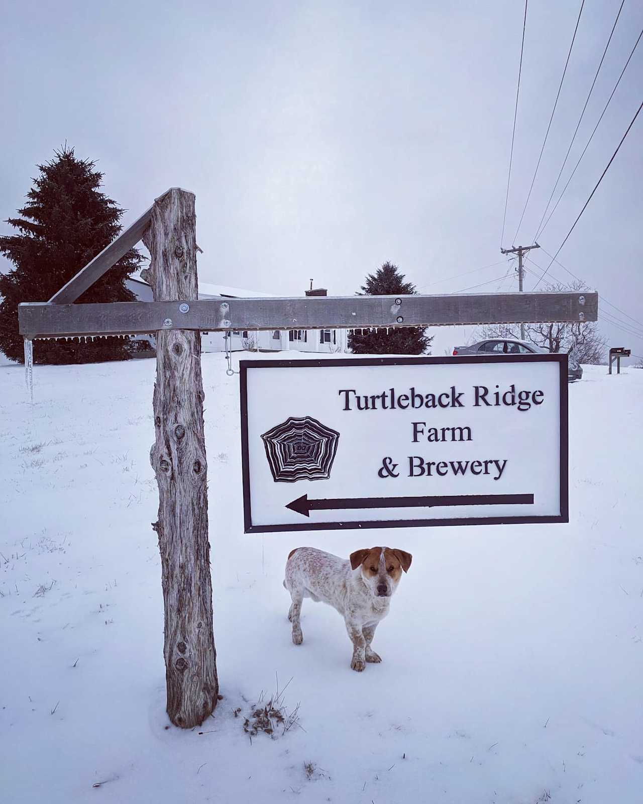 Turtleback Ridge