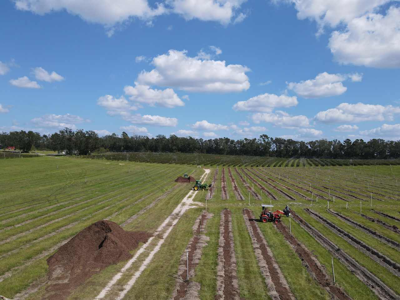 Allison Acres Blueberry Farm