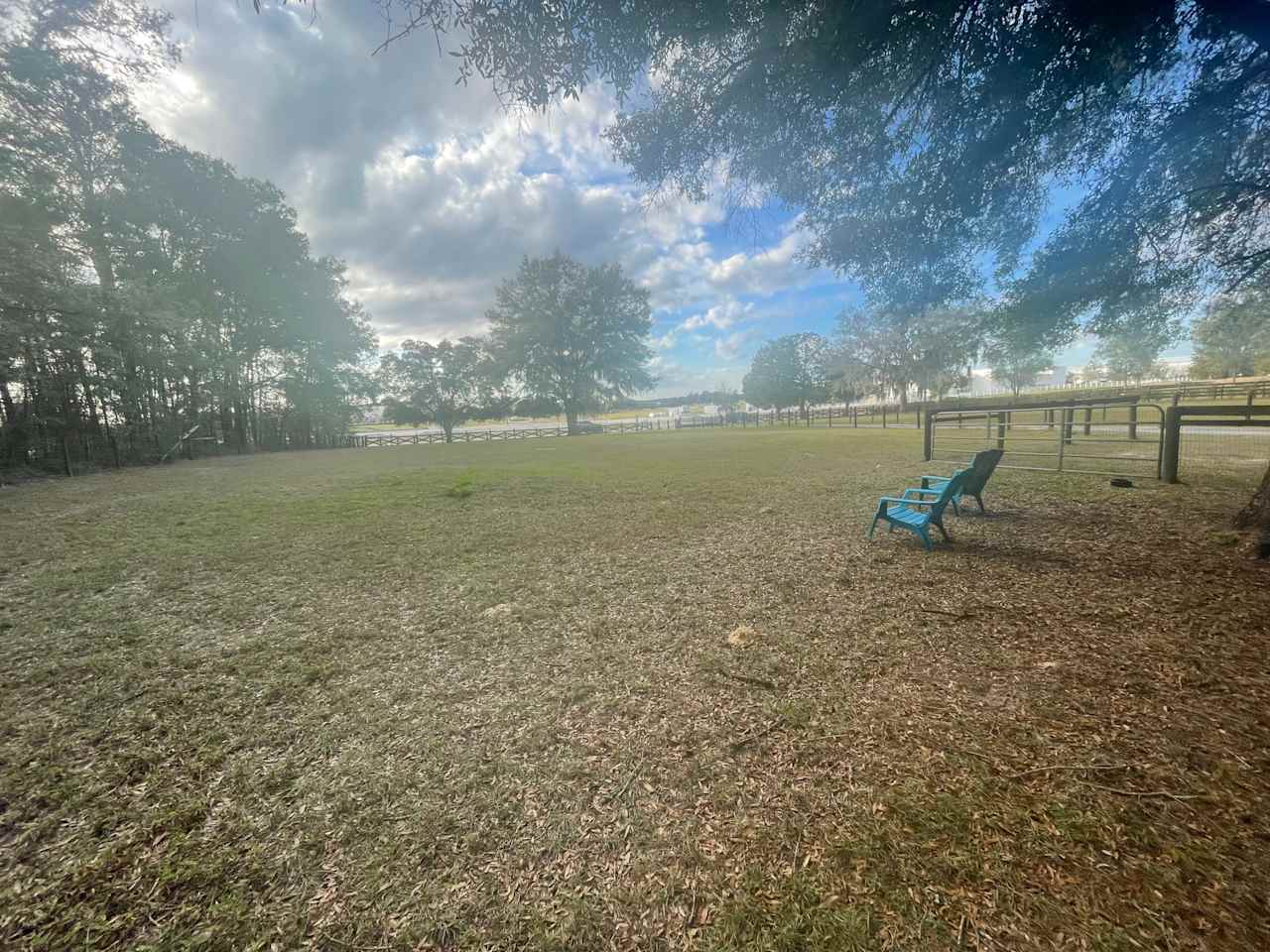 CHAIRS!