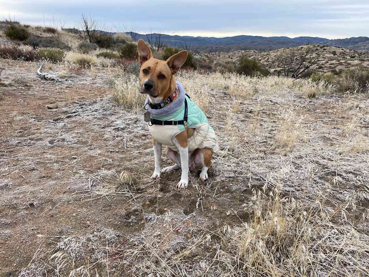 High Desert Hot Spring Hideout